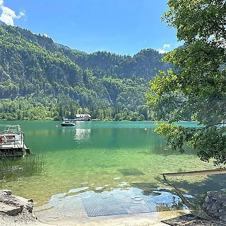 Seestern With Access